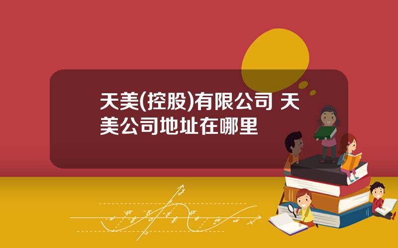 天美(控股)有限公司 天美公司地址在哪里